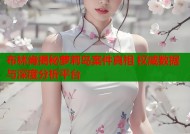 布林肯揭秘萝莉岛案件真相 权威数据与深度分析平台