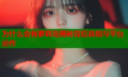 为什么会有萝莉岛揭秘背后真相与平台运作