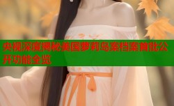 央视深度揭秘美国萝莉岛案档案首批公开功能全览