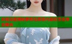 央视深度揭秘萝莉岛罪恶内幕权贵名单全曝光