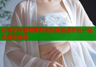 丹泽尔华盛顿萝莉岛影视资源平台一站式观影体验
