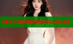 丹麦女王探秘萝莉岛独家平台功能全览