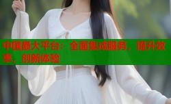 中国最大平台：全面集成服务，提升效率，创新体验