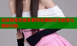 克林顿莱昂纳多萝莉岛揭秘权贵秘密与隐秘功能