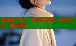 中国最大平台：全面集成服务，提升效率，创新体验