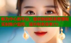 帐为中心的平台，提供智能财务管理和实时账户监控，提升财务效率(1)