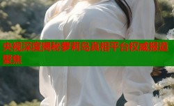 央视深度揭秘萝莉岛真相平台权威报道聚焦