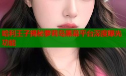 哈利王子揭秘萝莉岛黑幕平台深度曝光功能