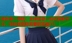 国外第一导航：全球信息一站式搜索平台，轻松找到你需要的资源(1)
