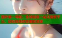 国外第一导航：全球信息一站式搜索平台，轻松找到你需要的资源