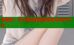 吾爱密：安全高效的数据加密与保护平台
