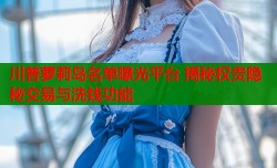 川普萝莉岛名单曝光平台 揭秘权贵隐秘交易与洗钱功能