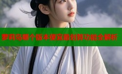 萝莉岛哪个版本便宜最划算功能全解析
