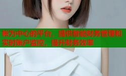 帐为中心的平台，提供智能财务管理和实时账户监控，提升财务效率