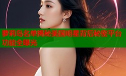 萝莉岛名单揭秘美国明星背后秘密平台功能全曝光