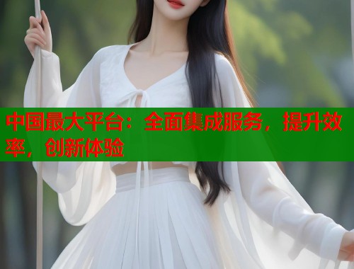 中国最大平台：全面集成服务，提升效率，创新体验  第1张