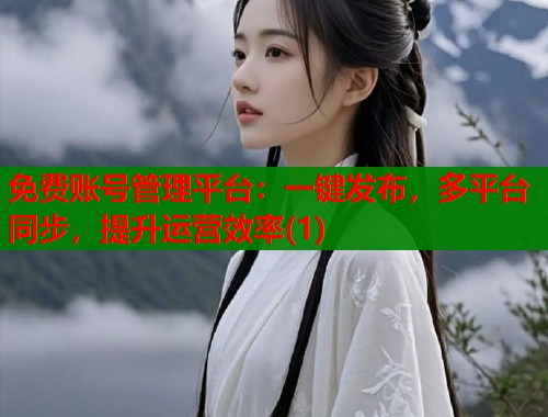 免费账号管理平台：一键发布，多平台同步，提升运营效率(1)  第1张