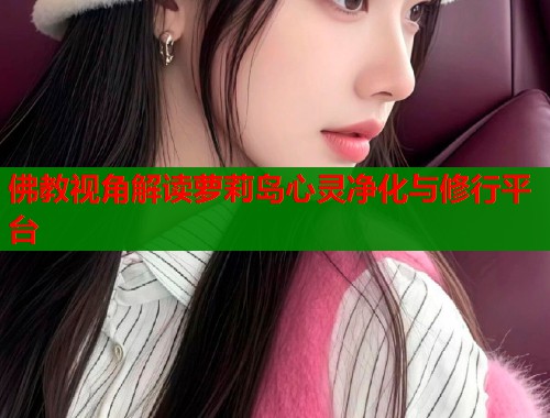 佛教视角解读萝莉岛心灵净化与修行平台  第1张