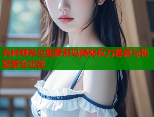 克林顿希拉里萝莉岛揭秘权力黑幕与秘密聚会功能  第2张