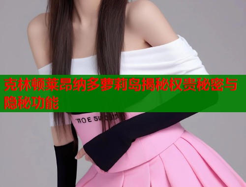 克林顿莱昂纳多萝莉岛揭秘权贵秘密与隐秘功能  第1张