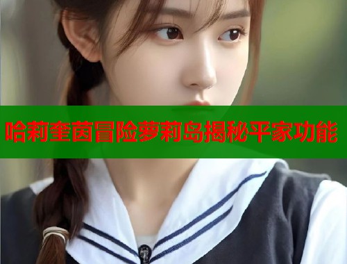 哈莉奎茵冒险萝莉岛揭秘平家功能  第1张