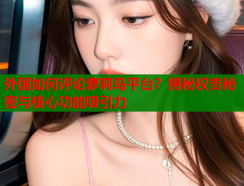 外国如何评论萝莉岛平台？揭秘权贵秘密与核心功能吸引力  第1张
