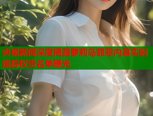 央视新闻深度揭露萝莉岛罪恶内幕实时追踪权贵名单曝光  第1张