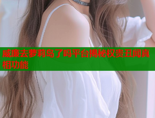 威廉去萝莉岛了吗平台揭秘权贵丑闻真相功能  第1张