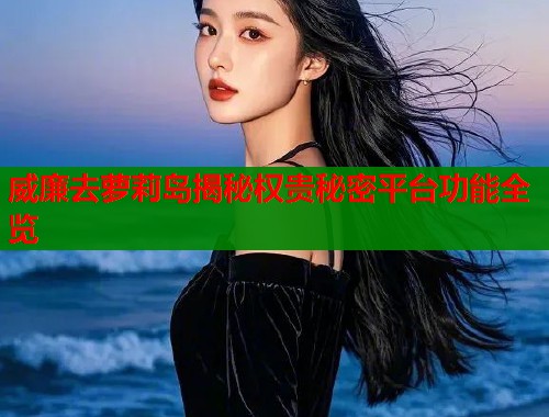 威廉去萝莉岛揭秘权贵秘密平台功能全览  第1张