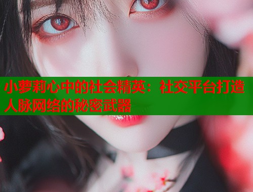 小萝莉心中的社会精英：社交平台打造人脉网络的秘密武器  第1张