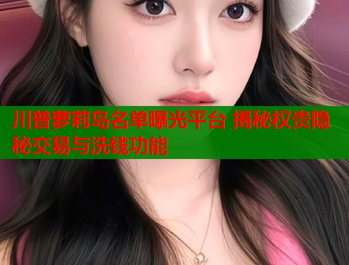川普萝莉岛名单曝光平台 揭秘权贵隐秘交易与洗钱功能  第2张