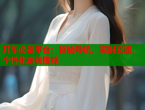 开车必备平台：智能导航、实时交通、个性化路线推荐  第1张
