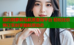纽约到萝莉岛航班查询平台 轻松比价预订实时掌握航班动态