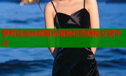 萝莉岛克林顿幕布揭秘权贵隐秘交易平台