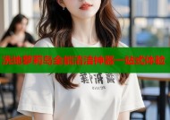 洗地萝莉岛全能清洁神器一站式体验