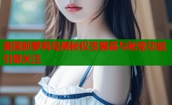 美国新萝莉岛揭秘权贵黑幕与秘密功能引爆关注