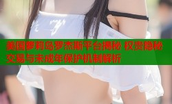美国萝莉岛罗杰斯平台揭秘 权贵隐秘交易与未成年保护机制解析