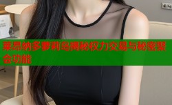 莱昂纳多萝莉岛揭秘权力交易与秘密聚会功能