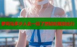 萝莉岛多少人去一目了然轻松规划出行
