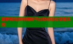 爱萝莉岛事件揭秘平台助你轻松掌握真相
