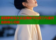 美国萝莉岛女法官揭秘平台权力与案件追踪核心功能