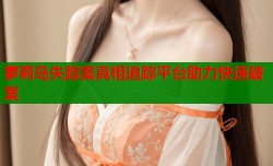 萝莉岛失踪案真相追踪平台助力快速破案
