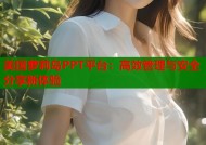 美国萝莉岛PPT平台：高效管理与安全分享新体验