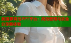 美国萝莉岛PPT平台：高效管理与安全分享新体验