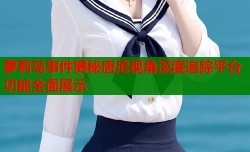 萝莉岛事件揭秘唐尼视角深度追踪平台功能全面展示