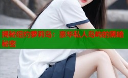 揭秘纽约萝莉岛：豪华私人岛屿的黑暗秘密