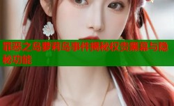 罪恶之岛萝莉岛事件揭秘权贵黑幕与隐秘功能