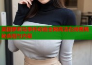 美国萝莉岛事件动画全网高清在线看揭秘真相与内幕