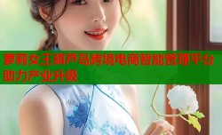 萝莉女王葫芦岛跨境电商智能管理平台助力产业升级