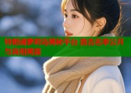 特朗浦萝莉岛揭秘平台 直击名单公开与真相揭露
